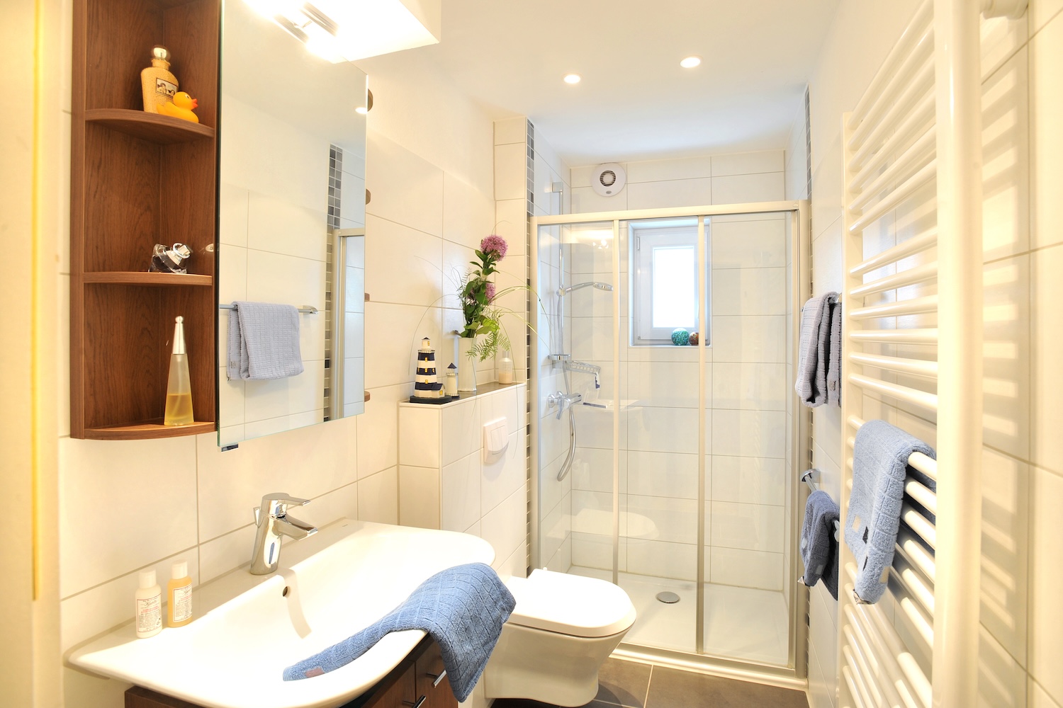 GWG-Gaestewohnung-Badezimmer