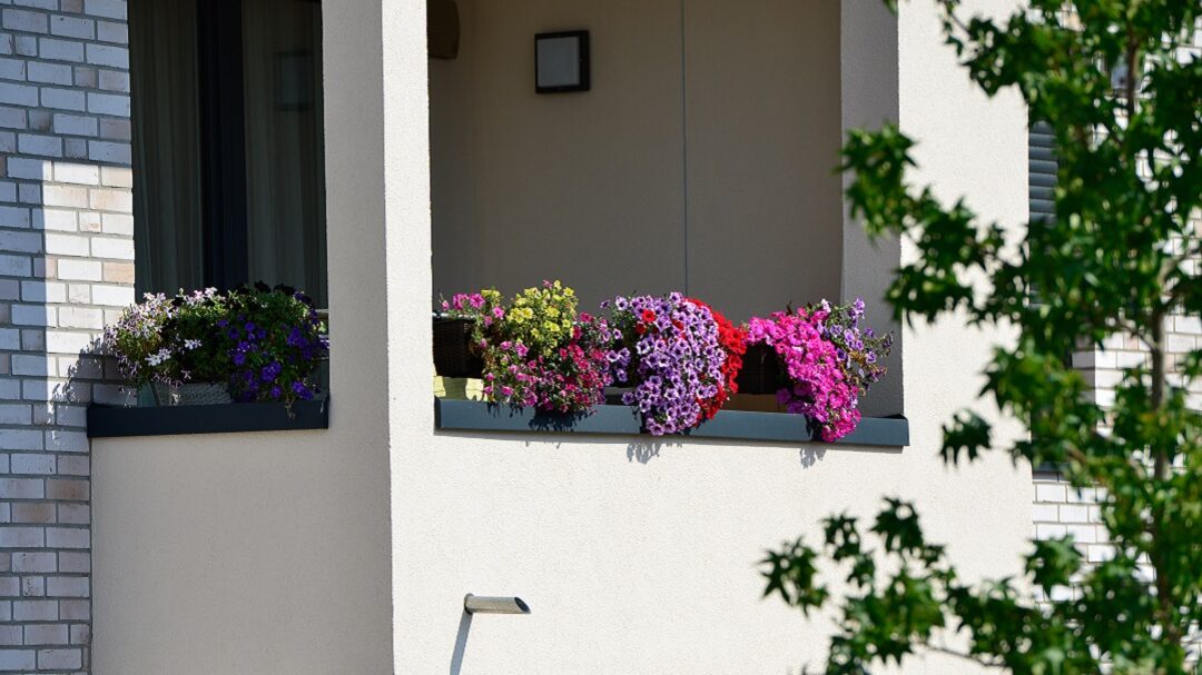 7. Gifhorner Balkon-Wettbewerb